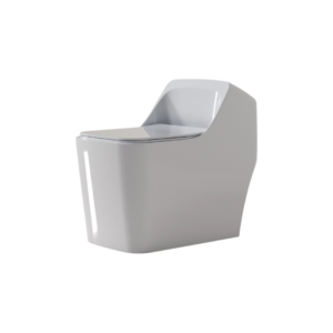 Sanitario Dangel Luxe Compact