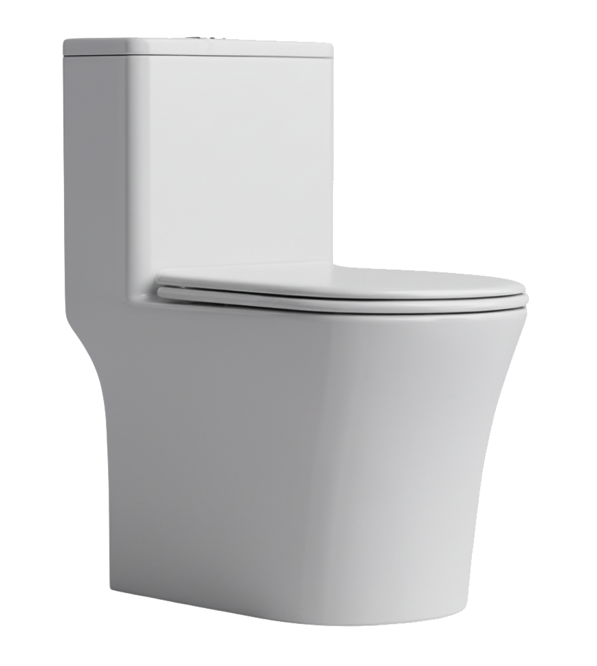 Sanitario Dangel Conforte