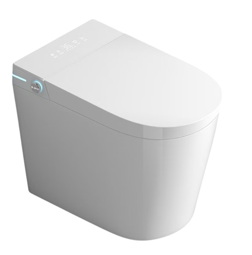 Sanitario Inteligente Dangel Futere Now